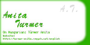 anita turmer business card
