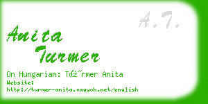 anita turmer business card